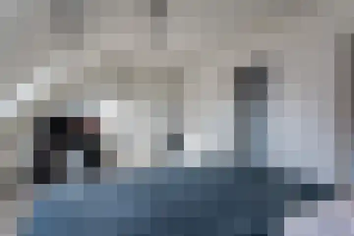 Sikkel 94 Hasselt thumbnail 27
