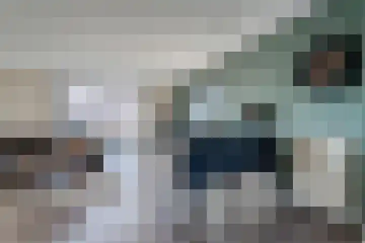 Sikkel 94 Hasselt thumbnail 6