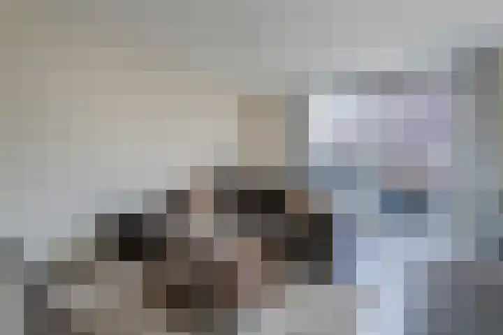 Sikkel 94 Hasselt thumbnail 7
