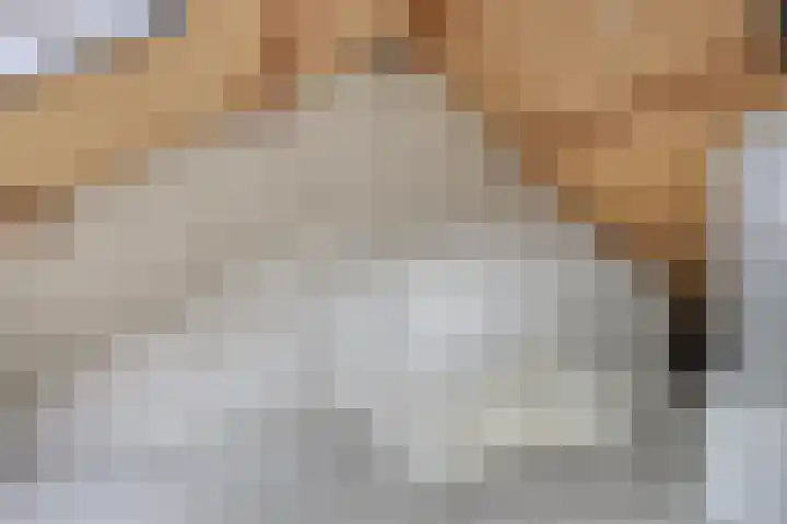 Sikkeldreef 132 Doetinchem thumbnail 18