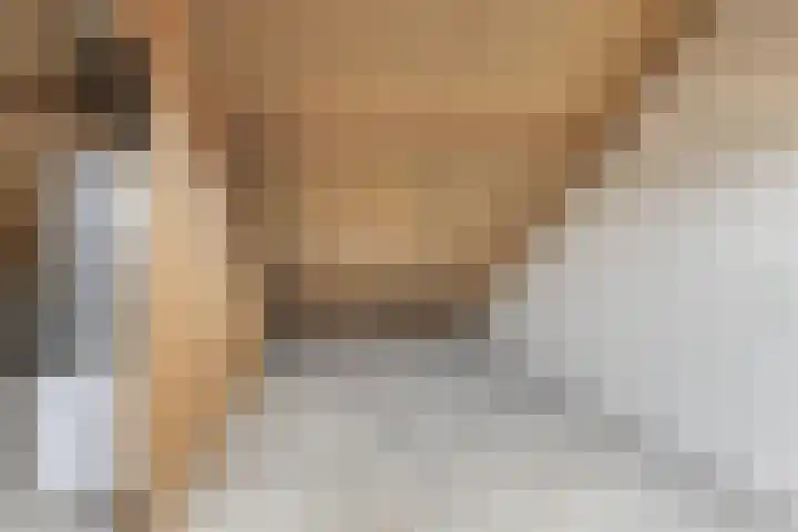 Sikkeldreef 132 Doetinchem thumbnail 20