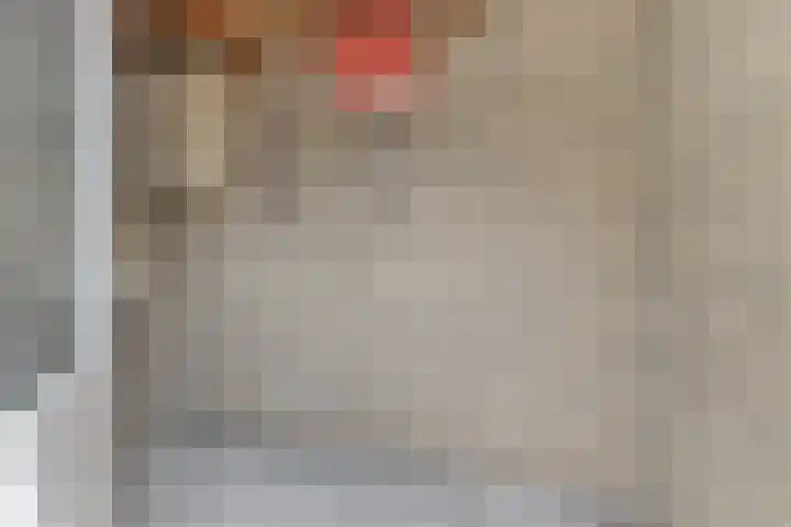 Sikkeldreef 132 Doetinchem thumbnail 23