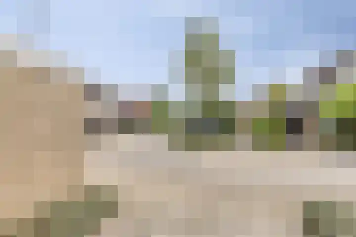 Sikkeldreef 132 Doetinchem thumbnail 24