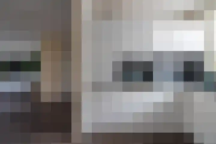 Sikkeldreef 146 Doetinchem thumbnail 12