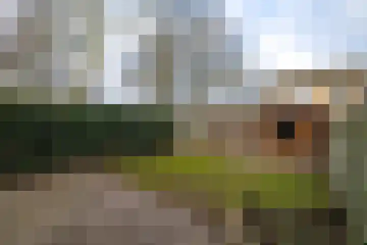 Sikkeldreef 146 Doetinchem thumbnail 15