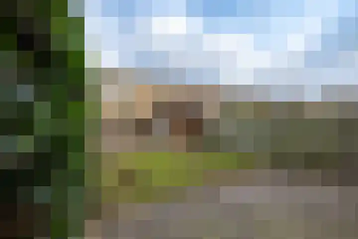 Sikkeldreef 146 Doetinchem thumbnail 16