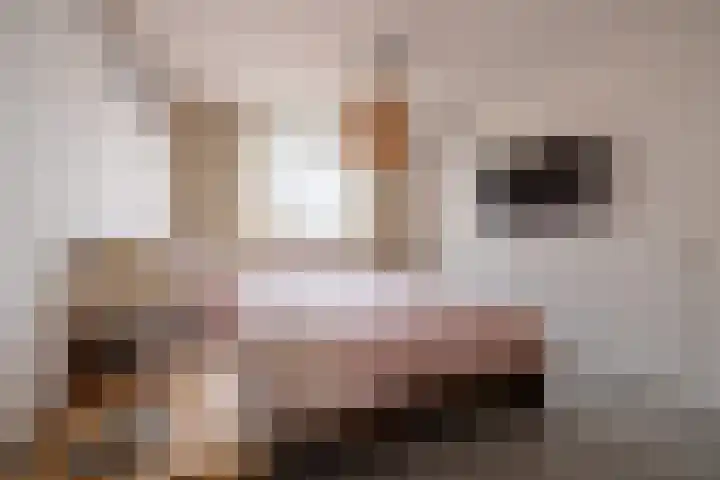 Sikkeldreef 146 Doetinchem thumbnail 22