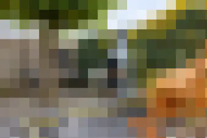 Sikkeldreef 168 Doetinchem thumbnail 21