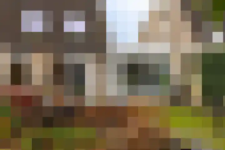 Sikkeldreef 168 Doetinchem thumbnail 23