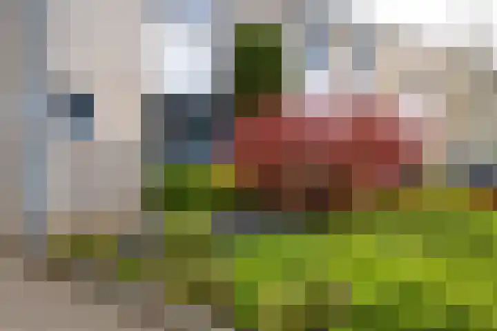Sikkeldreef 168 Doetinchem thumbnail 25
