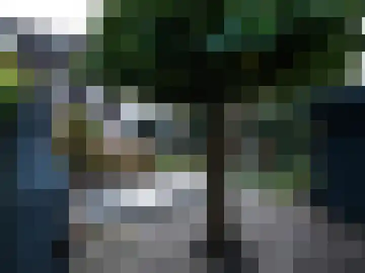 Sikkeldreef 168 Doetinchem thumbnail 49