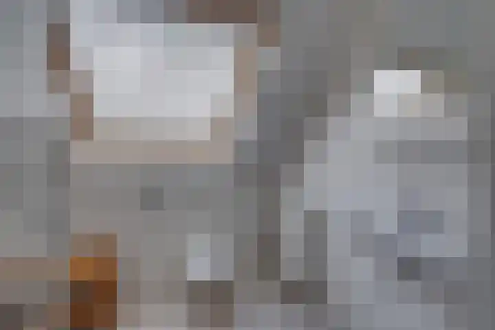 Sikkelerweg 8 31 Ruurlo thumbnail 17