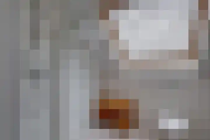 Sikkelerweg 8 31 Ruurlo thumbnail 18