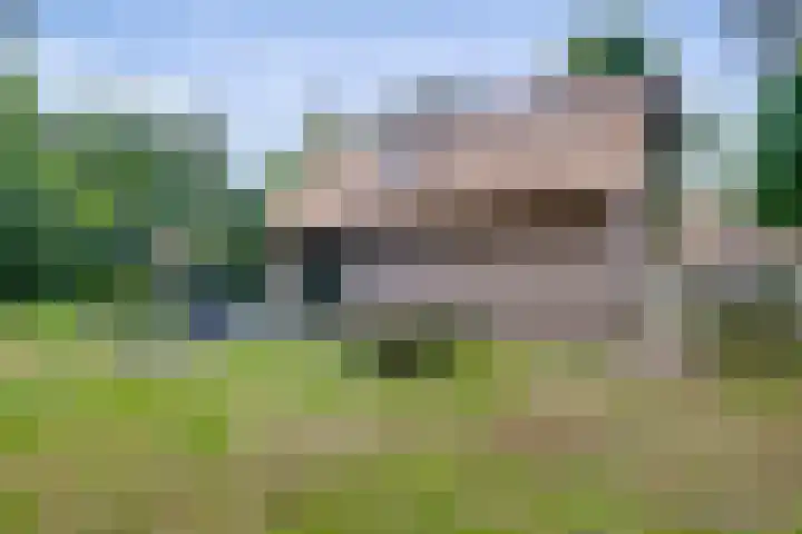 Sikkelerweg 8 31 Ruurlo thumbnail 20