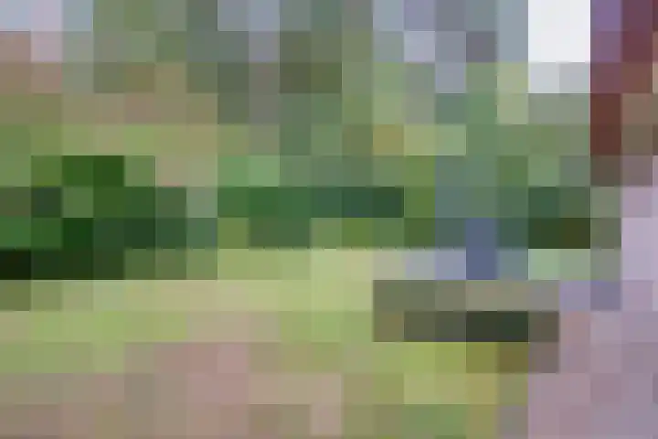 Sikkelerweg 8 31 Ruurlo thumbnail 21