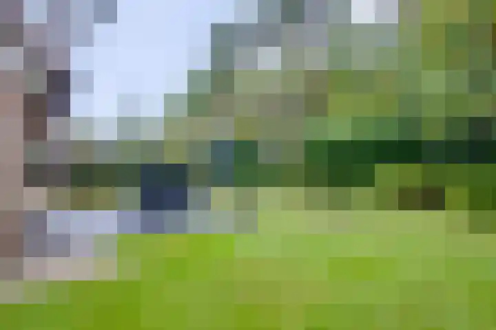 Sikkelerweg 8 31 Ruurlo thumbnail 22