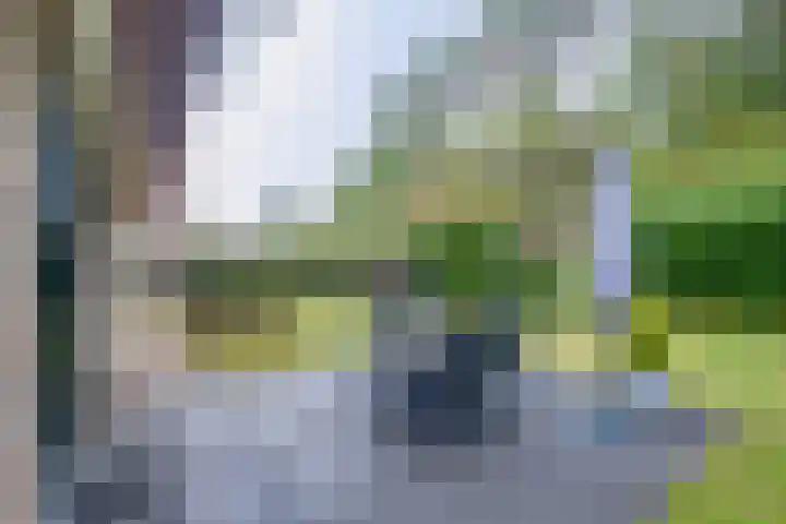 Sikkelerweg 8 31 Ruurlo thumbnail 23