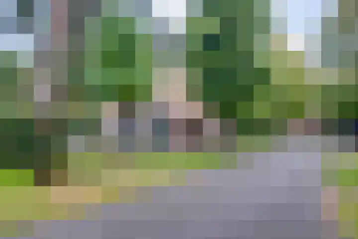 Sikkelerweg 8 31 Ruurlo thumbnail 26