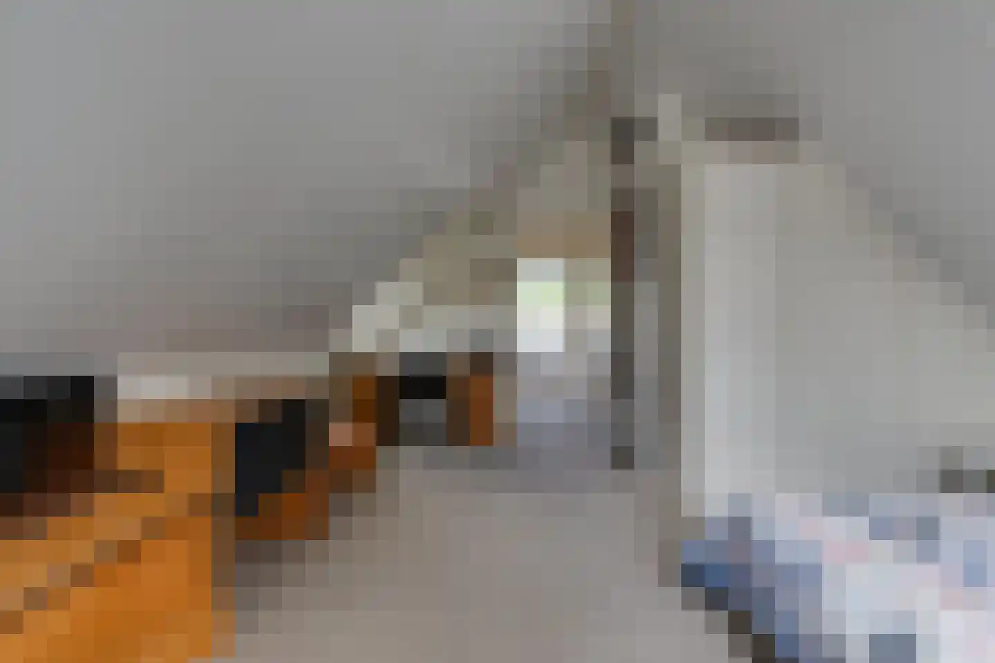 Sikkelerweg 8 45 Ruurlo thumbnail 20