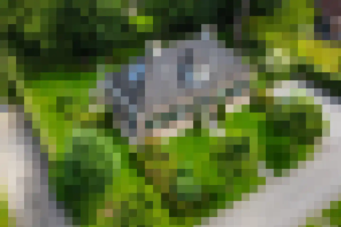 Sikkelerweg 8 45 Ruurlo thumbnail 35