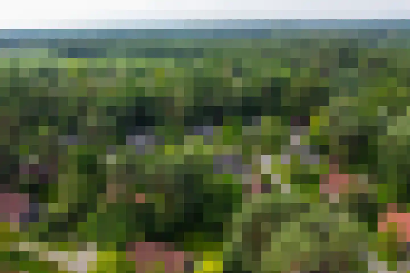 Sikkelerweg 8 45 Ruurlo thumbnail 37