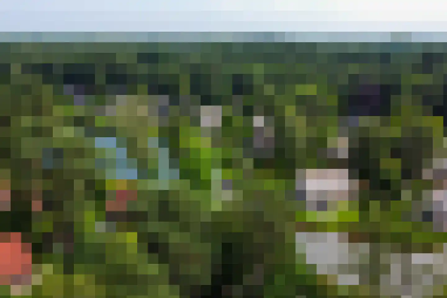 Sikkelerweg 8 45 Ruurlo thumbnail 38