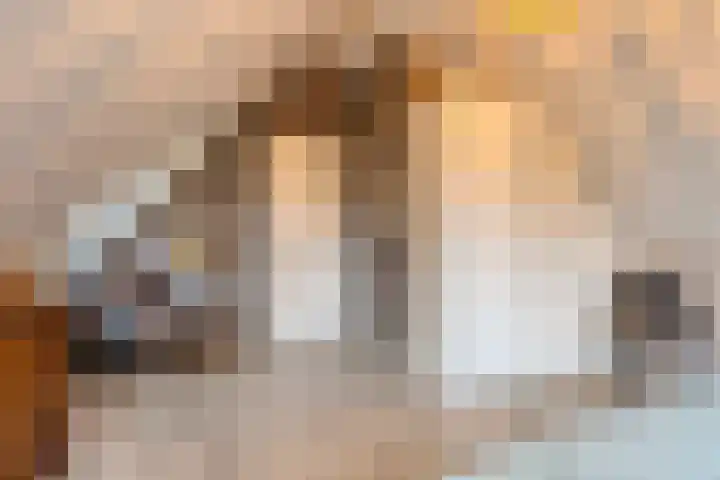 Sikkelerweg 8 58 Ruurlo thumbnail 27