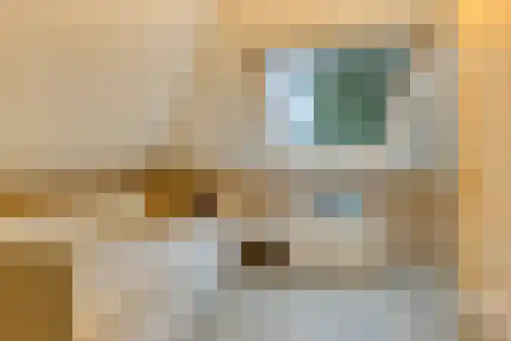 Sikkelerweg 8 58 Ruurlo thumbnail 33