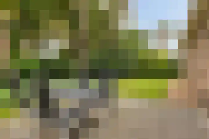 Sikkelerweg 8 58 Ruurlo thumbnail 38