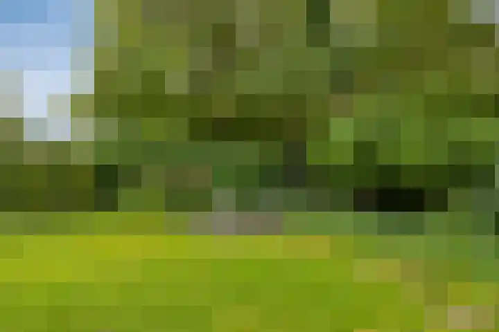 Sikkelerweg 8 58 Ruurlo thumbnail 39