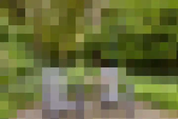 Sikkelerweg 8 58 Ruurlo thumbnail 40