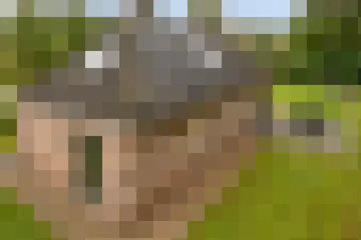 Sikkelerweg 8 58 Ruurlo thumbnail 41