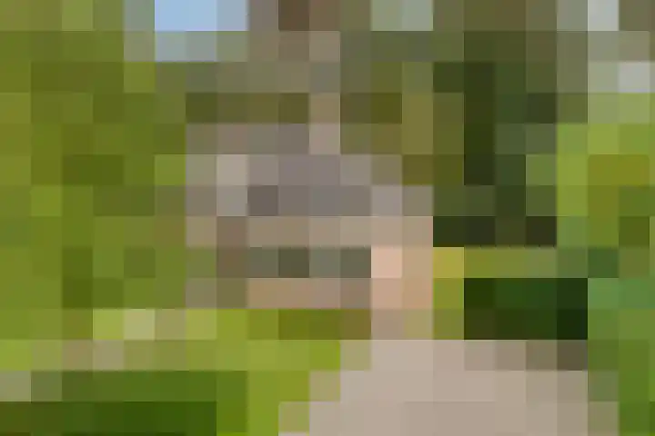 Sikkelerweg 8 58 Ruurlo thumbnail 44