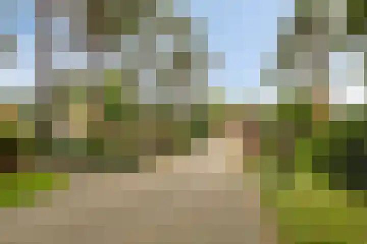 Sikkelerweg 8 58 Ruurlo thumbnail 45