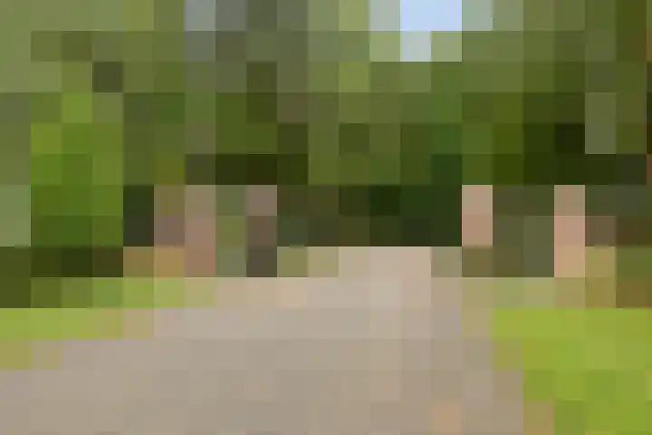 Sikkelerweg 8 58 Ruurlo thumbnail 46