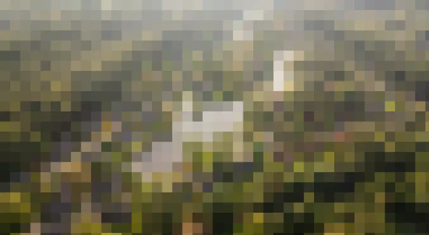 Sikkelerweg 8 73 Ruurlo thumbnail 27