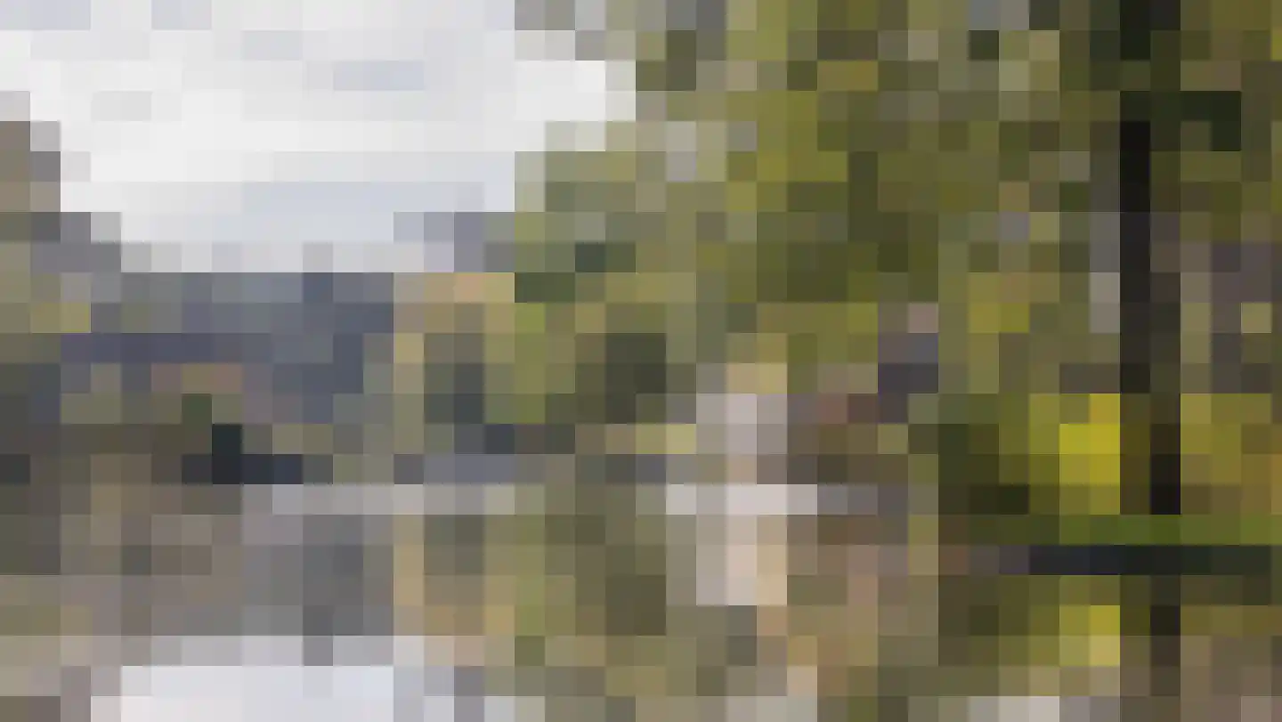 Sikkelerweg 8 73 Ruurlo thumbnail 29