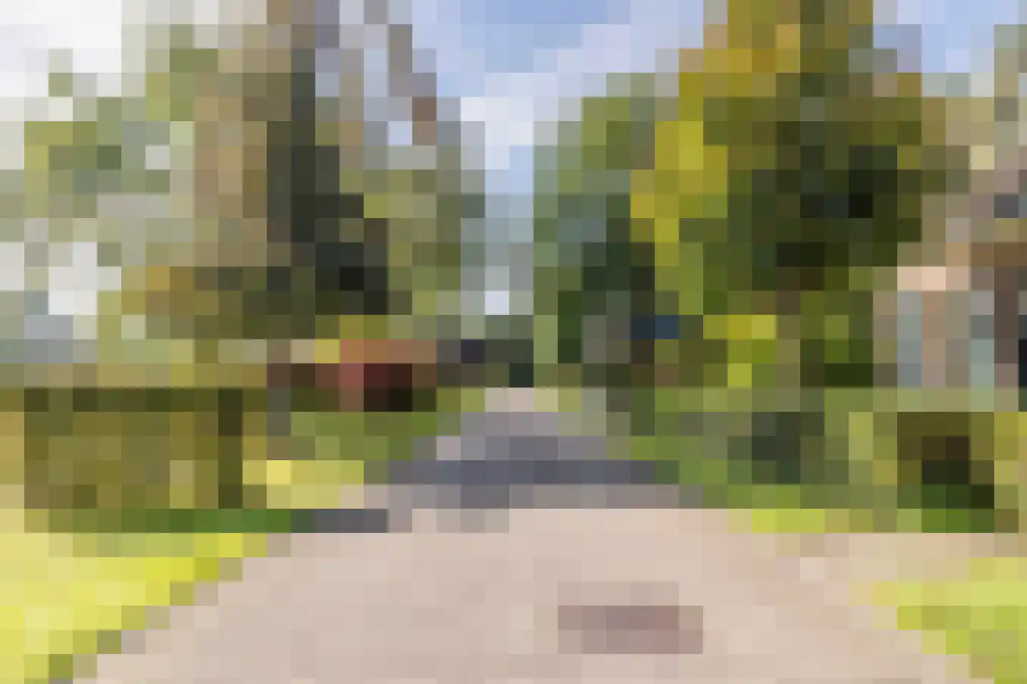 Sikkelerweg 8 73 Ruurlo thumbnail 31