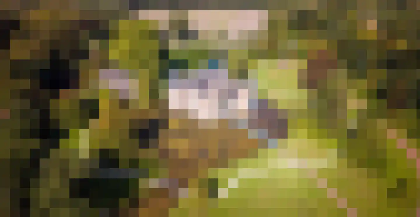 Sikkelerweg 8 73 Ruurlo thumbnail 6
