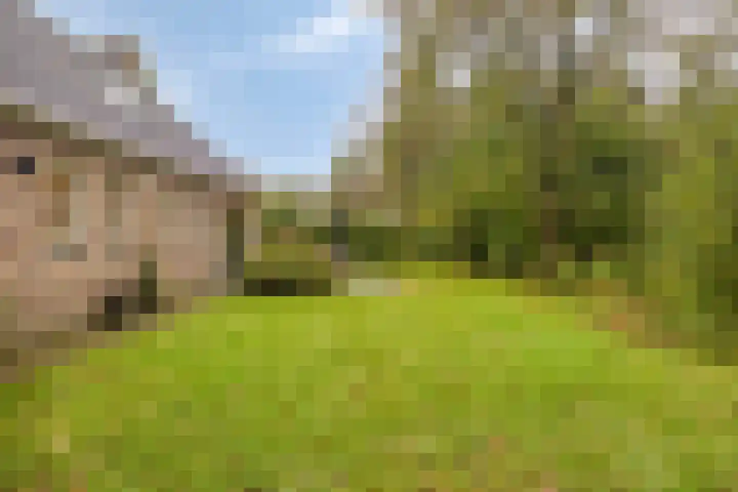 Sikkelerweg 8 76 Ruurlo thumbnail 28