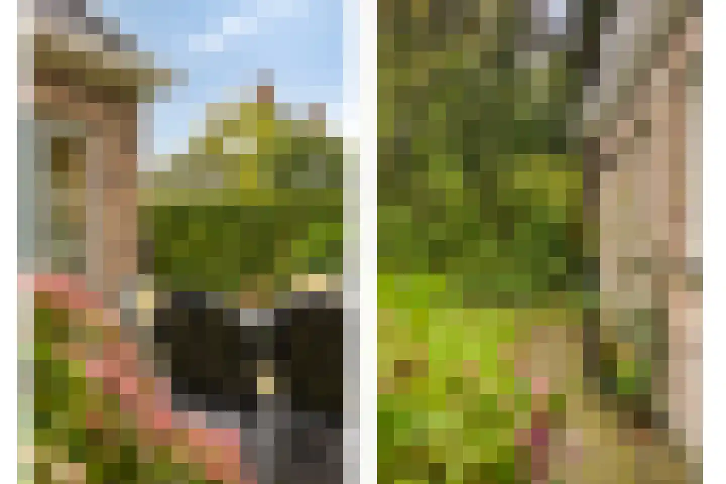Sikkelerweg 8 76 Ruurlo thumbnail 30