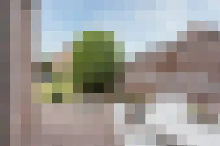 Sikkelhof 5 Heerlen thumbnail 22