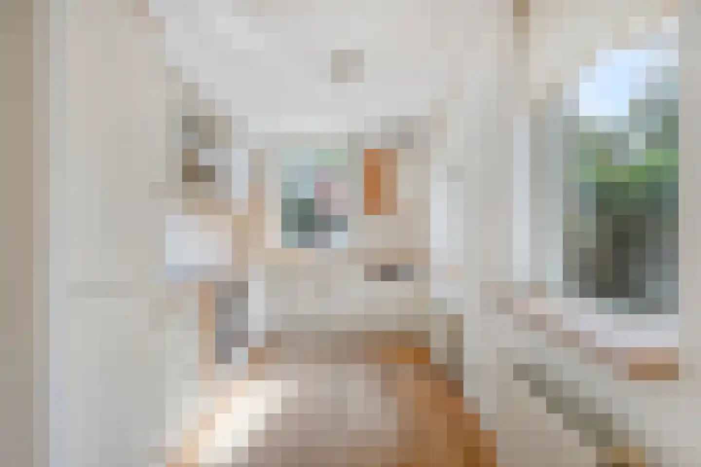 Sikkelkruid 20 Amersfoort thumbnail 12