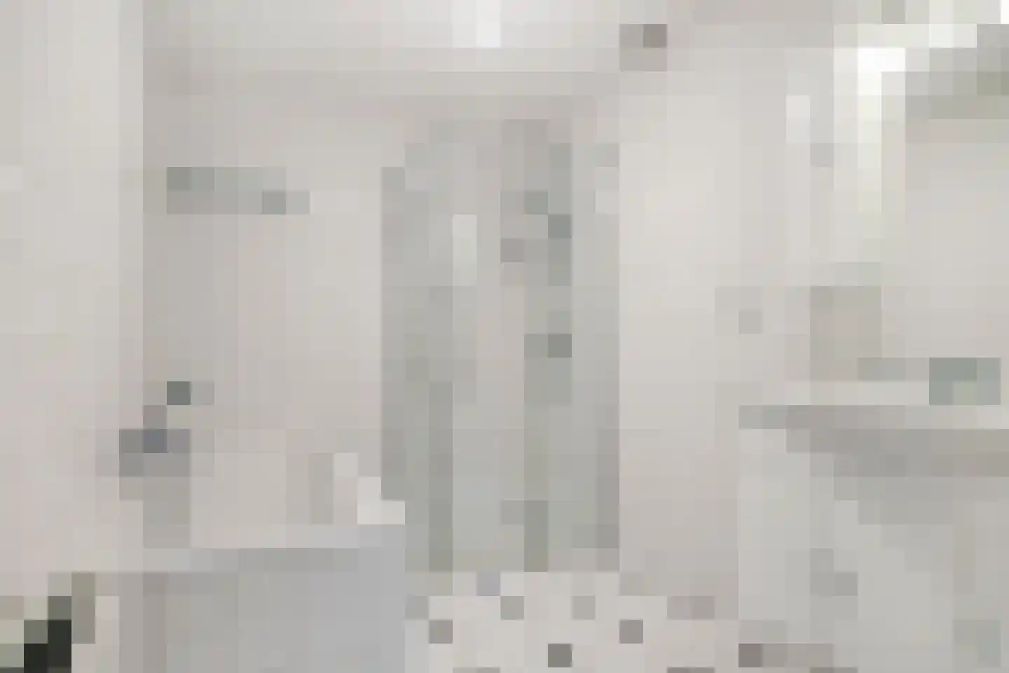 Sikkelkruid 20 Amersfoort thumbnail 23
