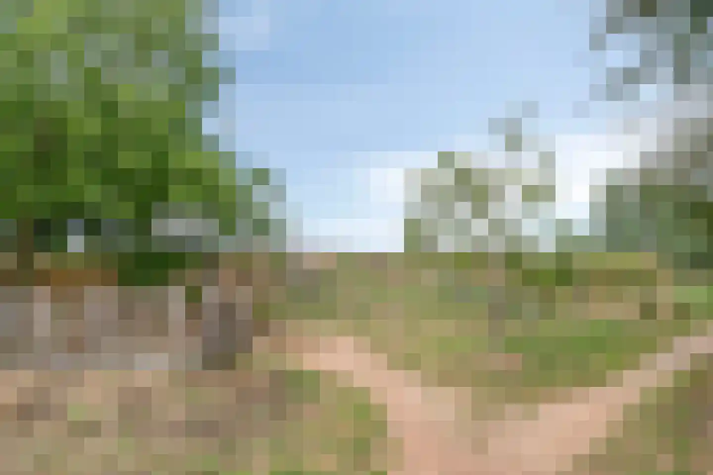 Sikkelkruid 20 Amersfoort thumbnail 29