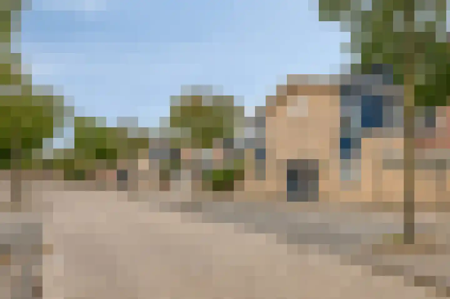 Sikkelkruid 20 Amersfoort thumbnail 6