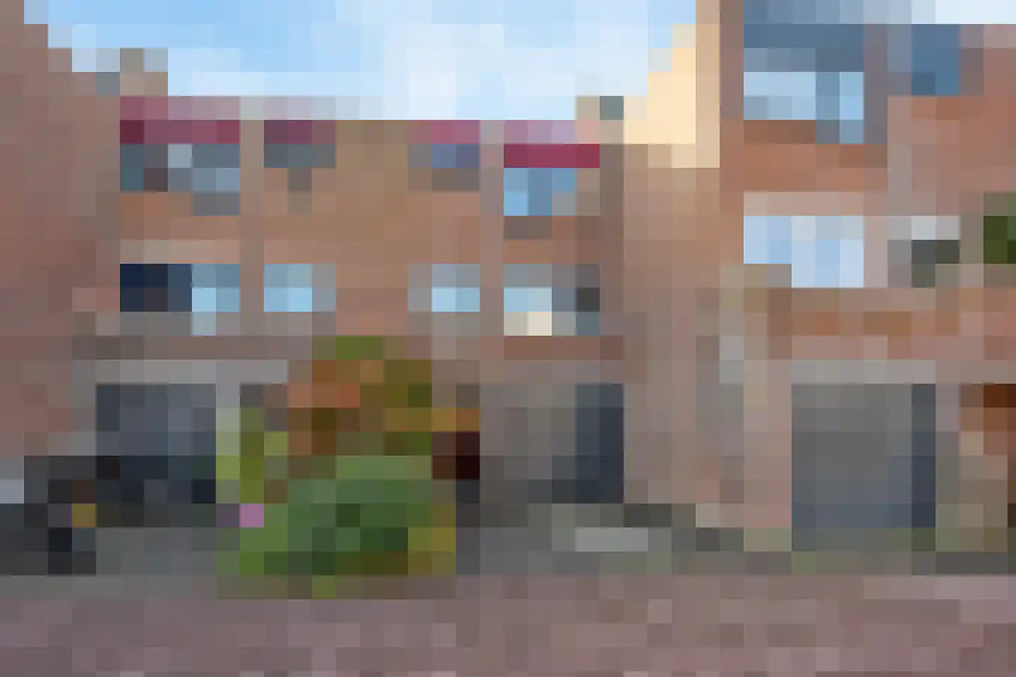 Sikkelkruid 5 Nieuwerkerk aan den IJssel