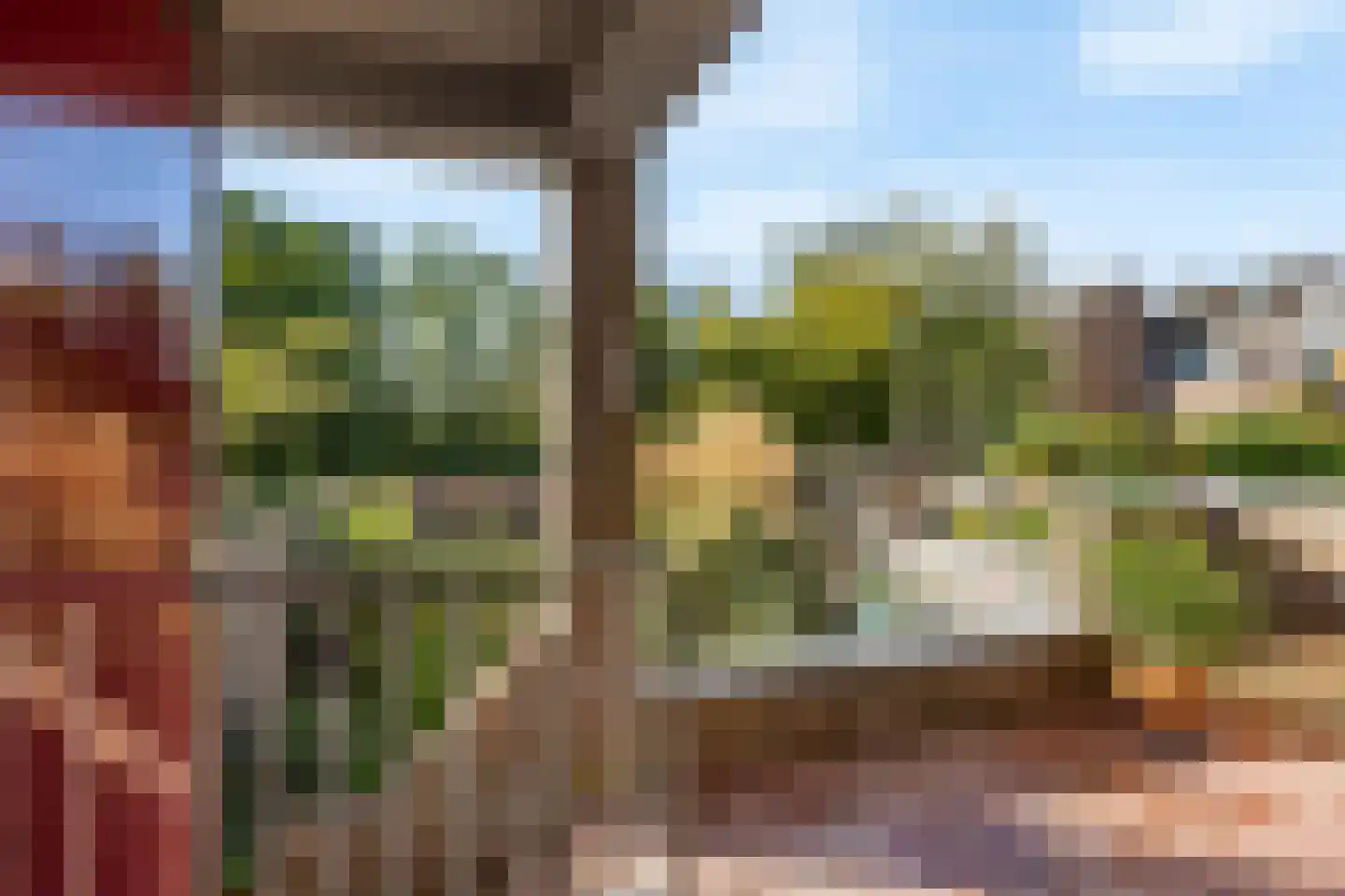 Sikkelkruid 5 Nieuwerkerk aan den IJssel thumbnail 15