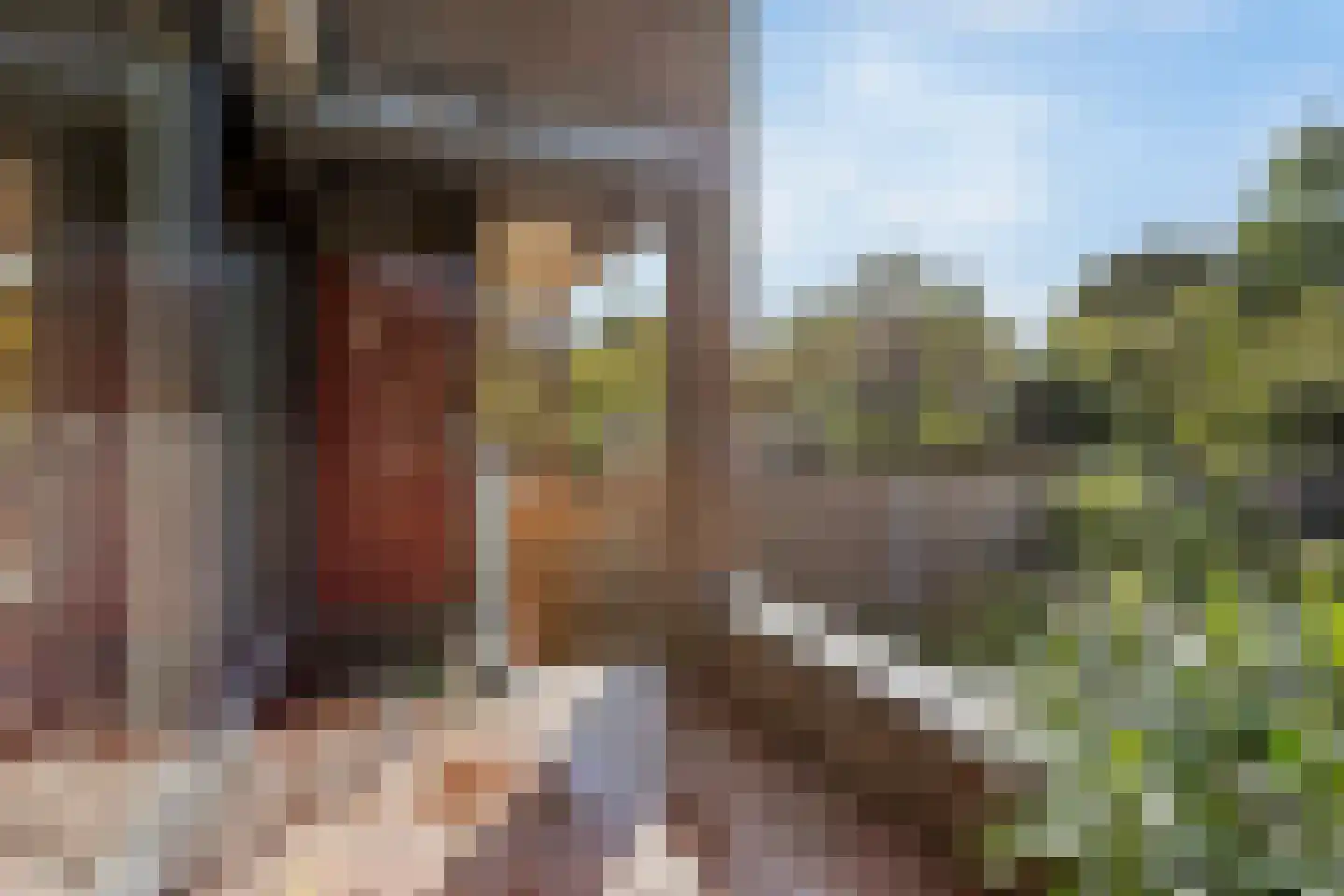 Sikkelkruid 5 Nieuwerkerk aan den IJssel thumbnail 16