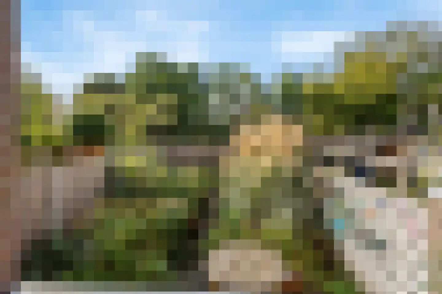 Sikkelkruid 5 Nieuwerkerk aan den IJssel thumbnail 17